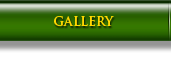 Gallery Button