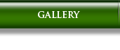 Gallery Button